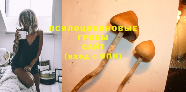 PSILOCYBIN Заволжье