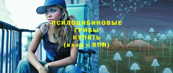 а пвп мука Нея