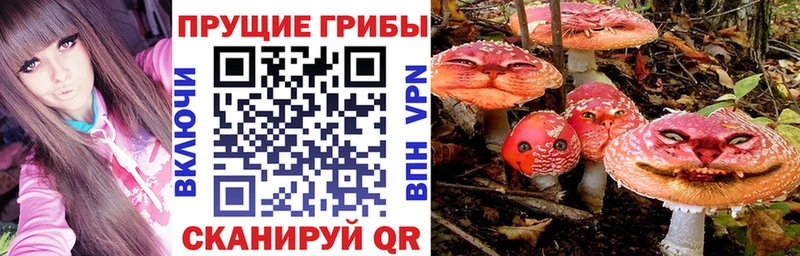 Галлюциногенные грибы Magic Shrooms ОМГ ОМГ как войти Конаково