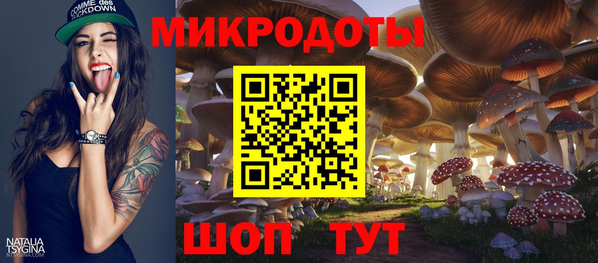 купить закладку  Конаково  Галлюциногенные грибы Magic Shrooms  Псилоцибиновые грибы Magic Shrooms 