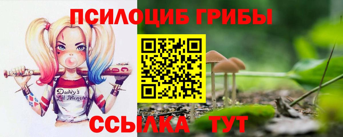 Галлюциногенные грибы GOLDEN TEACHER  Вход с VPN  Конаково  Псилоцибиновые грибы Cubensis 
