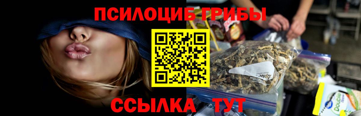 Галлюциногенные грибы GOLDEN TEACHER Конаково